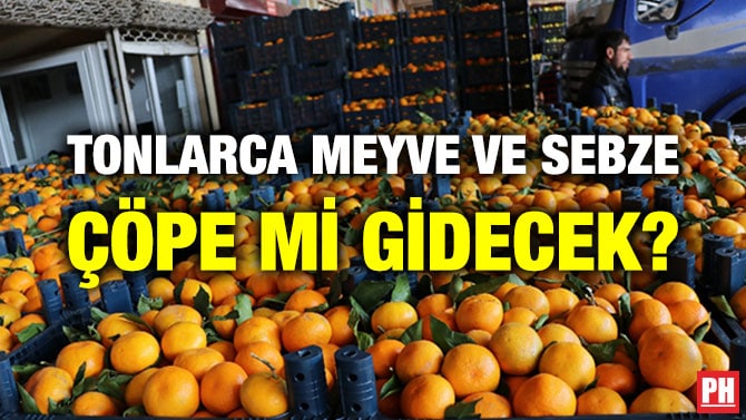 TONLARCA MEYVE VE SEBZE ÇÖPE Mİ GİDECEK?