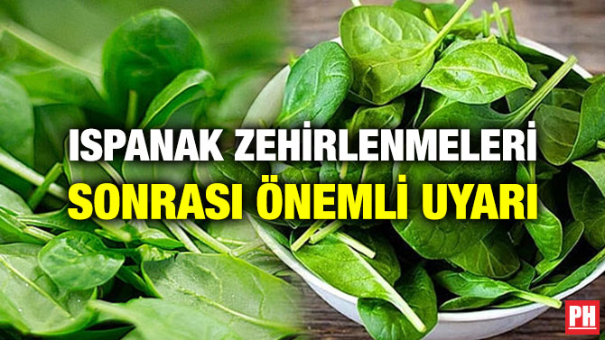ISPANAK ZEHİRLENMELERİ SONRASI ÖNEMLİ UYARI