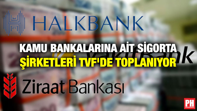 KAMU BANKALARINA AİT SİGORTA ŞİRKETLERİ TVF’DE TOPLANIYOR