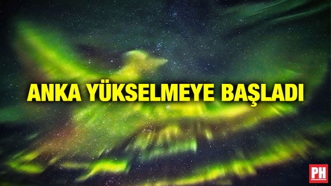 ANKA YÜKSELMEYE BAŞLADI