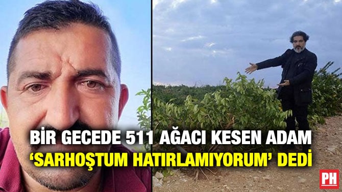 BİR GECEDE 511 AĞACI KESEN ADAM ‘SARHOŞTUM HATIRLAMIYORUM’ DEDİ