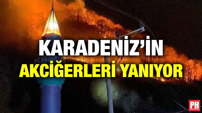 KARADENİZ’İN AKCİĞERLERİ YANIYOR