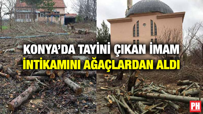 KONYA’DA TAYİNİ ÇIKAN İMAM İNTİKAMINI AĞAÇLARDAN ALDI