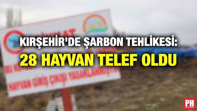 KIRŞEHİR’DE ŞARBON TEHLİKESİ: 28 HAYVAN TELEF OLDU