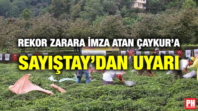 REKOR ZARARA İMZA ATAN ÇAYKUR’A SAYIŞTAY’DAN UYARI