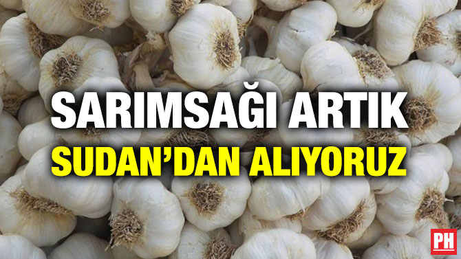 SARIMSAĞI ARTIK SUDAN’DAN ALIYORUZ