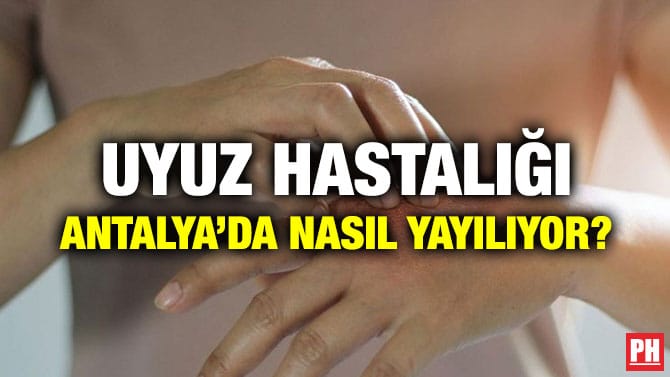 UYUZ HASTALIĞI ANTALYA’DA NASIL YAYILIYOR?