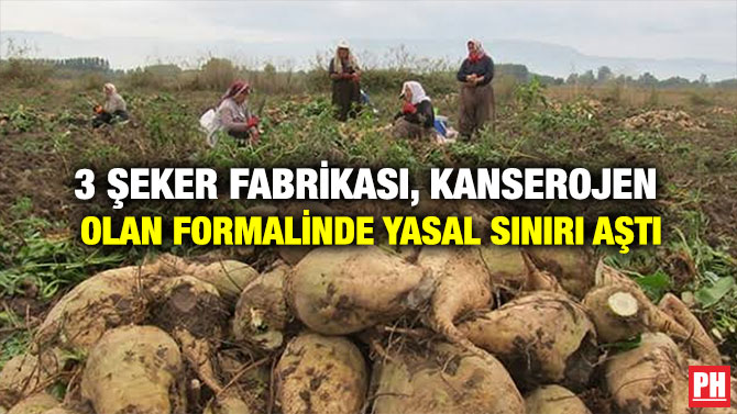 3 ŞEKER FABRİKASI, KANSEROJEN  OLAN FORMALİNDE YASAL SINIRI AŞTI