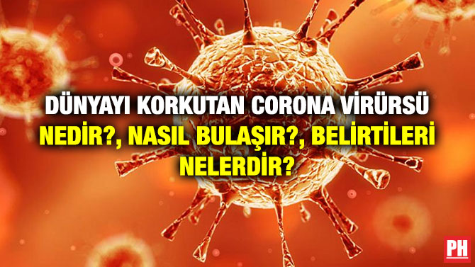 DÜNYAYI KORKUTAN CORONA VİRÜRSÜ NEDİR?, NASIL BULAŞIR?, BELİRTİLERİ NELERDİR?