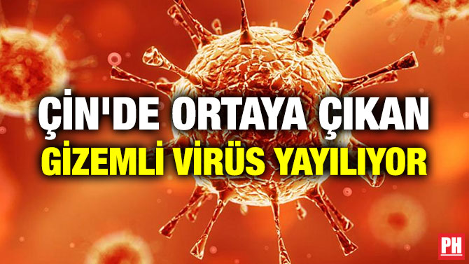 ÇİN’DE ORTAYA ÇIKAN GİZEMLİ VİRÜS YAYILIYOR