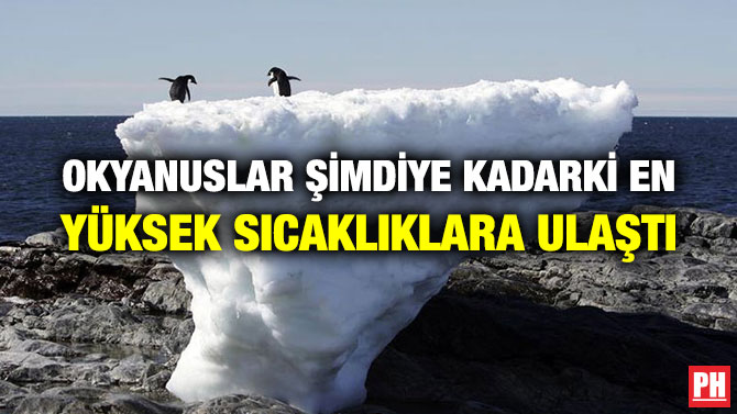 OKYANUSLAR ŞİMDİYE KADARKİ EN YÜKSEK SICAKLIKLARA ULAŞTI