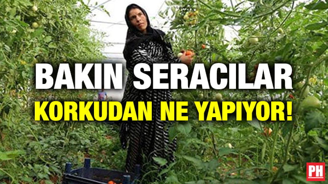 BAKIN SERACILAR KORKUDAN NE YAPIYOR!