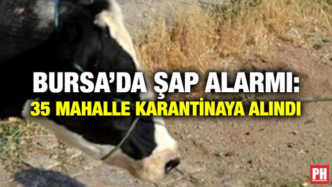BURSA’DA ŞAP ALARMI: 35 MAHALLE KARANTİNAYA ALINDI