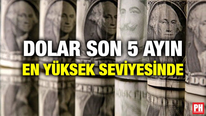 DOLAR SON 5 AYIN EN YÜKSEK SEVİYESİNDE