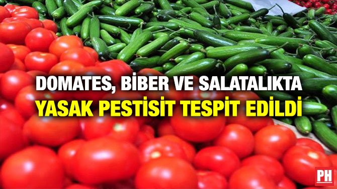 DOMATES, BİBER VE SALATALIKTA YASAK PESTİSİT TESPİT EDİLDİ