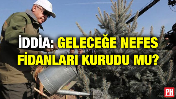 İDDİA: GELECEĞE NEFES FİDANLARI KURUDU MU?