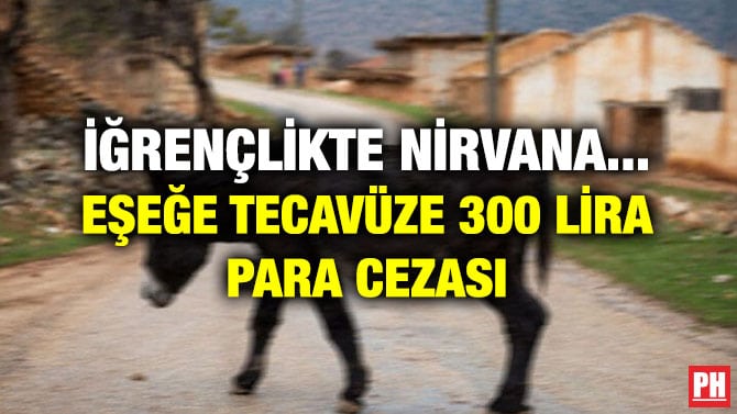 İĞRENÇLİKTE NİRVANA… EŞEĞE TECAVÜZE 300 LİRA PARA CEZASI