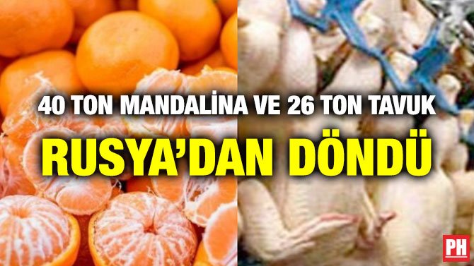 40 TON MANDALİNA VE 26 TON TAVUK RUSYA’DAN DÖNDÜ