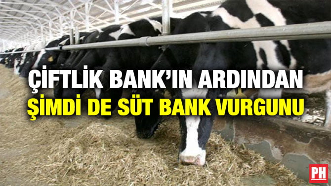 ÇİFTLİK BANK’IN ARDINDAN ŞİMDİ DE SÜT BANK VURGUNU