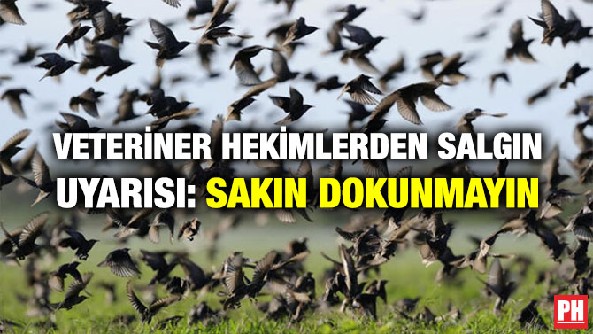 VETERİNER HEKİMLERDEN SALGIN UYARISI: SAKIN DOKUNMAYIN