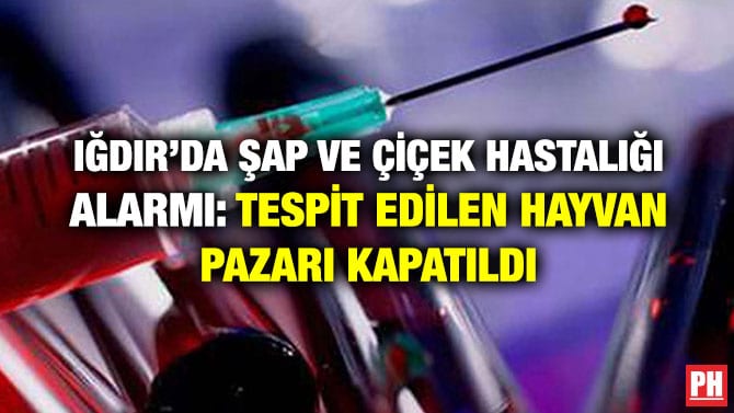 IĞDIR’DA ŞAP VE ÇİÇEK HASTALIĞI ALARMI: TESPİT EDİLEN HAYVAN PAZARI KAPATILDI