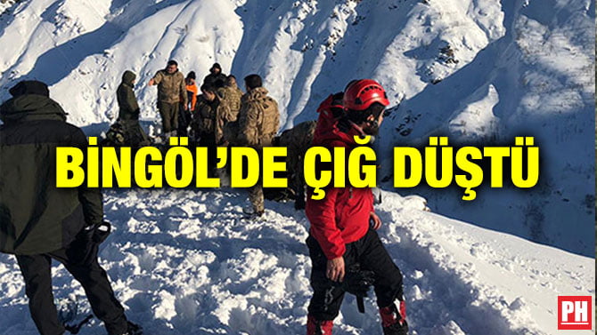 BİNGÖL’DE ÇIĞ DÜŞTÜ