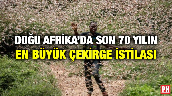DOĞU AFRİKA’DA SON 70 YILIN EN BÜYÜK ÇEKİRGE İSTİLASI