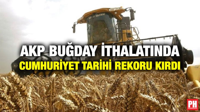 AKP BUĞDAY İTHALATINDA CUMHURİYET TARİHİ REKORU KIRDI