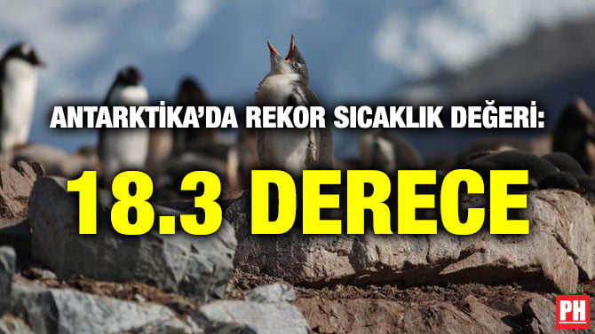 ANTARKTİKA’DA REKOR SICAKLIK DEĞERİ: 18.3 DERECE