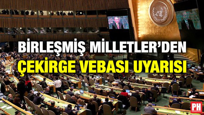 BİRLEŞMİŞ MİLLETLER’DEN ÇEKİRGE VEBASI UYARISI