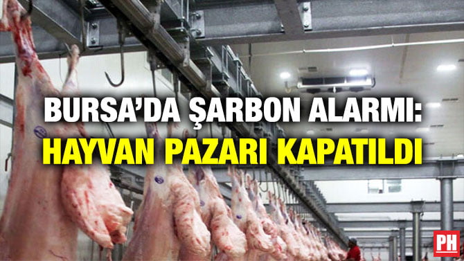 BURSA’DA ŞARBON ALARMI: HAYVAN PAZARI KAPATILDI