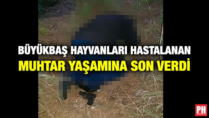 BÜYÜKBAŞ HAYVANLARI HASTALANAN MUHTAR YAŞAMINA SON VERDİ