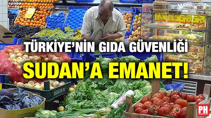 TÜRKİYE’NİN GIDA GÜVENLİĞİ SUDAN’A EMANET!