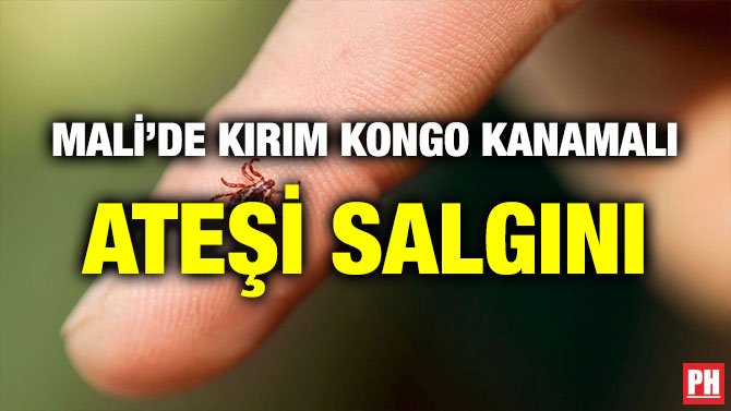MALİ’DE KIRIM KONGO KANAMALI ATEŞİ SALGINI