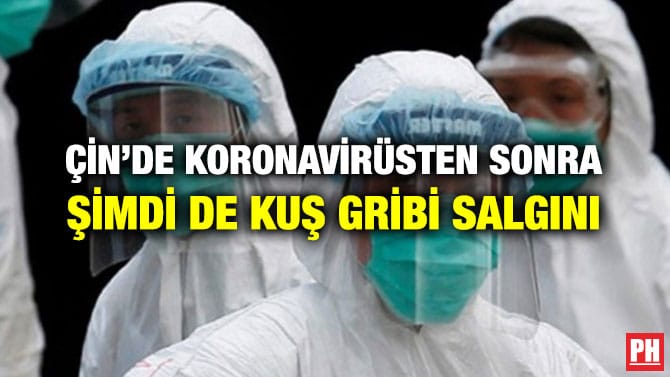 ÇİN’DE KORONAVİRÜSTEN SONRA ŞİMDİ DE KUŞ GRİBİ SALGINI