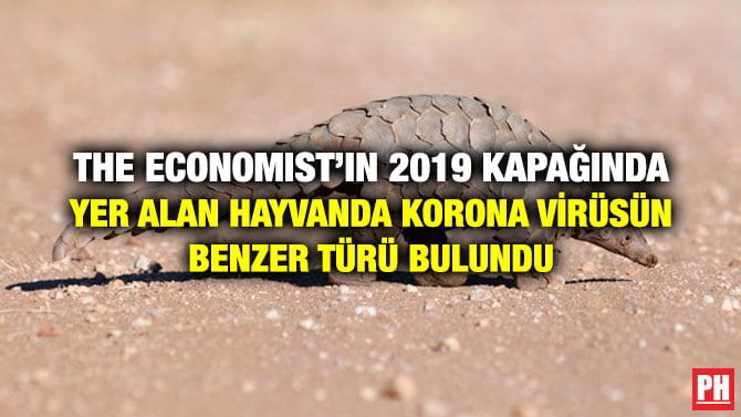 THE ECONOMIST’IN 2019 KAPAĞINDA YER ALAN HAYVANDA KORONA VİRÜSÜN BENZER TÜRÜ BULUNDU