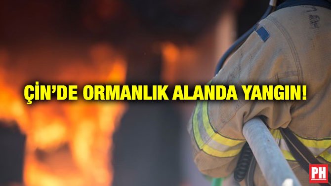 ÇİN’DE ORMANLIK ALANDA YANGIN!