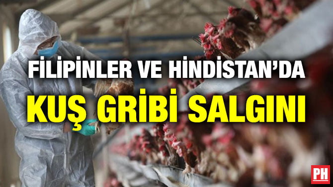 FİLİPİNLER VE HİNDİSTAN’DA KUŞ GRİBİ SALGINI