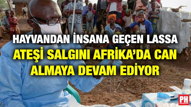 HAYVANDAN İNSANA GEÇEN LASSA ATEŞİ SALGINI AFRİKA’DA CAN ALMAYA DEVAM EDİYOR
