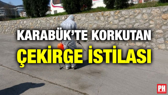 KARABÜK’TE KORKUTAN ÇEKİRGE İSTİLASI