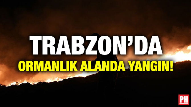 TRABZON’DA ORMANLIK ALANDA YANGIN!