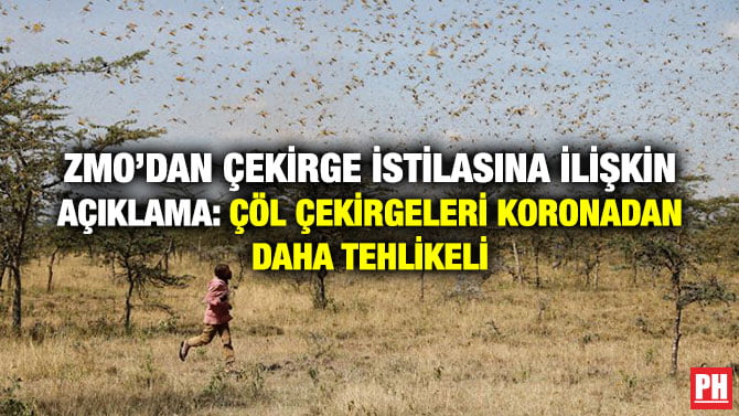 ZMO’DAN ÇEKİRGE İSTİLASINA İLİŞKİN AÇIKLAMA: ÇÖL ÇEKİRGELERİ KORONADAN DAHA TEHLİKELİ