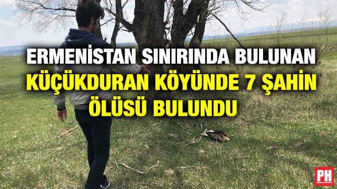 ERMENİSTAN SINIRINDA BULUNAN KÜÇÜKDURAN KÖYÜNDE 7 ŞAHİN ÖLÜSÜ BULUNDU