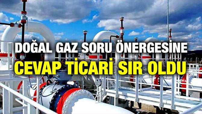 DOĞAL GAZ SORU ÖNERGESİNE CEVAP TİCARİ SIR OLDU