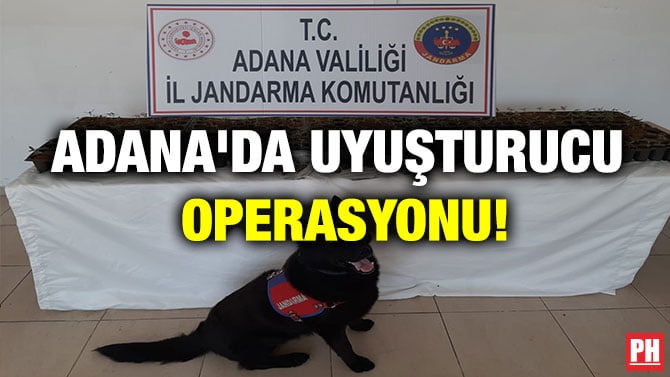 ADANA’DA UYUŞTURUCU OPERASYONU!