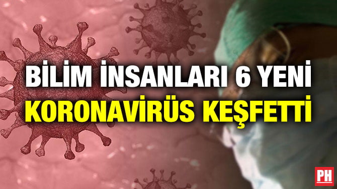 BİLİM İNSANLARI 6 YENİ KORONAVİRÜS KEŞFETTİ