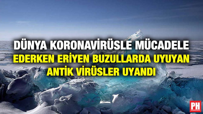 DÜNYA KORONAVİRÜSLE MÜCADELE EDERKEN ERİYEN BUZULLARDA UYUYAN ANTİK VİRÜSLER UYANDI