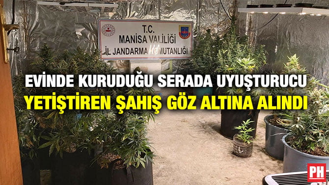 EVİNDE KURUDUĞU SERADA UYUŞTURUCU YETİŞTİREN ŞAHIŞ GÖZ ALTINA ALINDI
