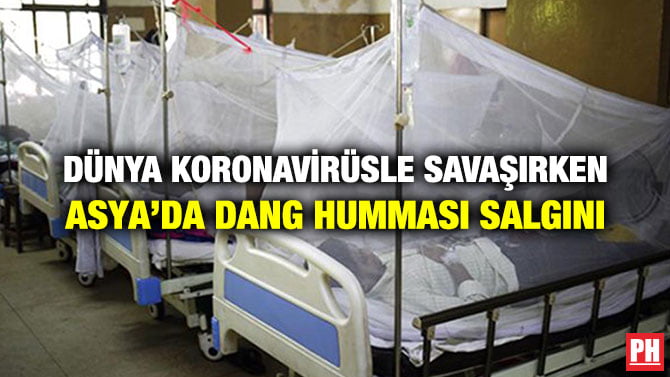 DÜNYA KORONAVİRÜSLE SAVAŞIRKEN ASYA’DA DANG HUMMASI SALGINI