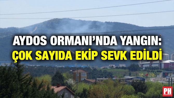 AYDOS ORMANI’NDA YANGIN: ÇOK SAYIDA EKİP SEVK EDİLDİ